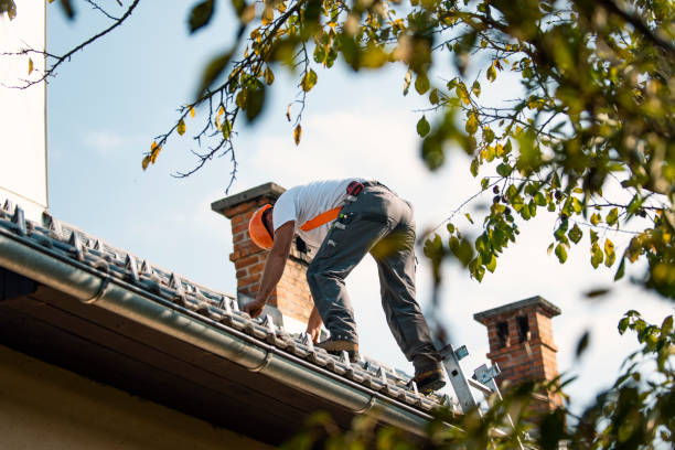 Trusted Stevenson, AL Roofing Services Experts
